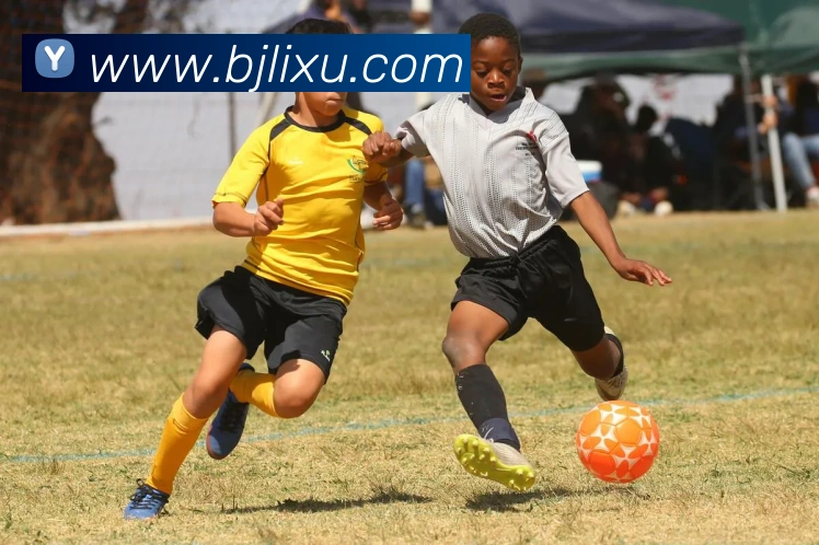 百家乐网站APP 封面图